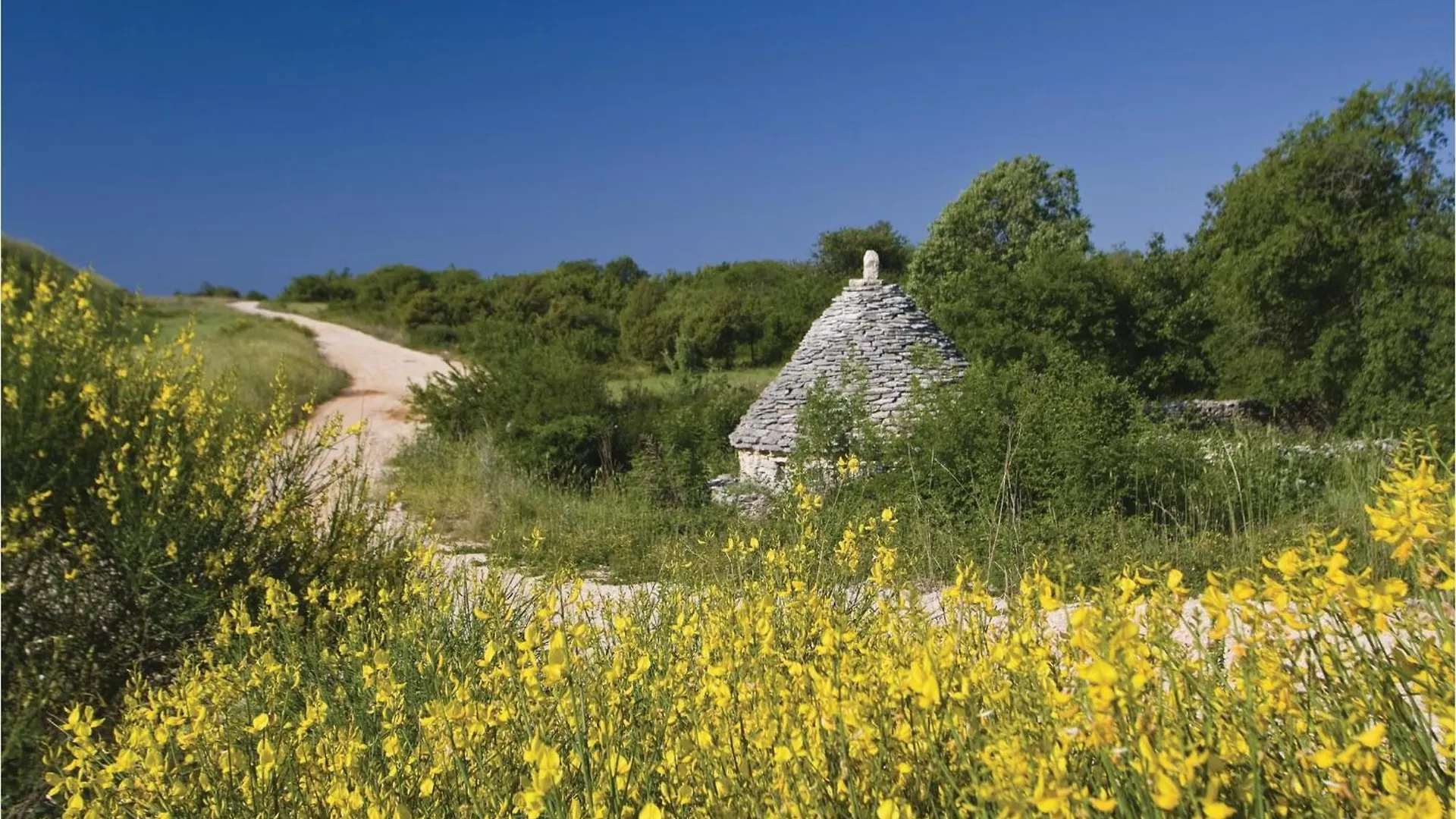 Holiday home Lovely Home In Barban With Outdoor Swimming Pool Croatia